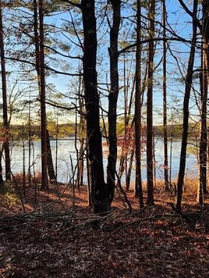 Nashua River Rail Trail - Pepprell Square - Pepperell, MA