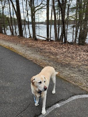 Nashua River Rail Trail - Pepprell Square - Pepperell, MA