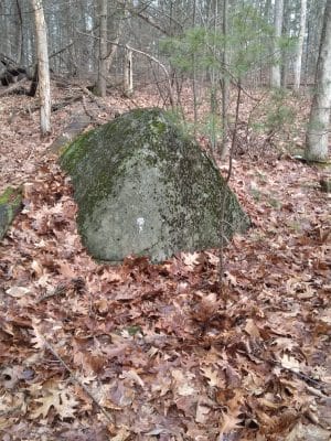 Pepperell Town Forest Rest Area & Trail