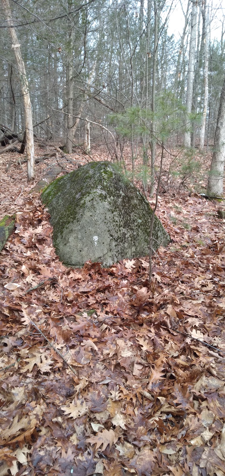 Pepperell Town Forest Rest Area & Trail - Pepperell, MA