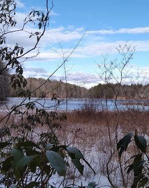 Pepperell Town Forest Rest Area & Trail