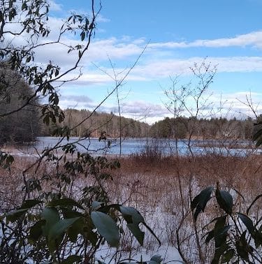 Pepperell Town Forest Rest Area & Trail
