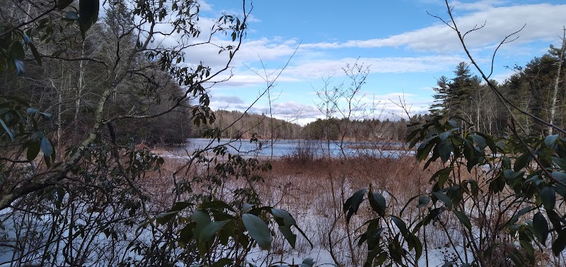 Pepperell Town Forest Rest Area & Trail - Pepperell, MA