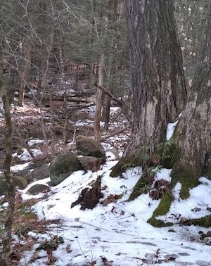 Pepperell Town Forest Rest Area & Trail
