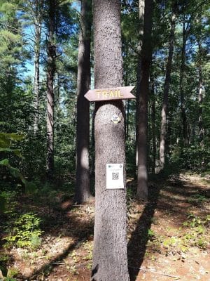Pepperell Town Forest Rest Area & Trail