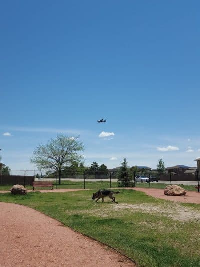 Garden of the Dogs - Peterson Space Force Base, CO
