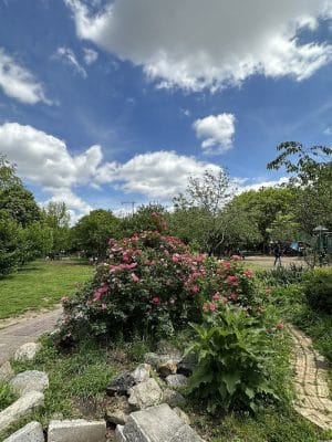 Orianna Hill Park