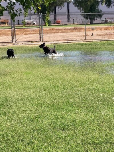 Esteban Park - Phoenix, AZ