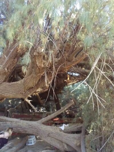 Esteban Park - Phoenix, AZ