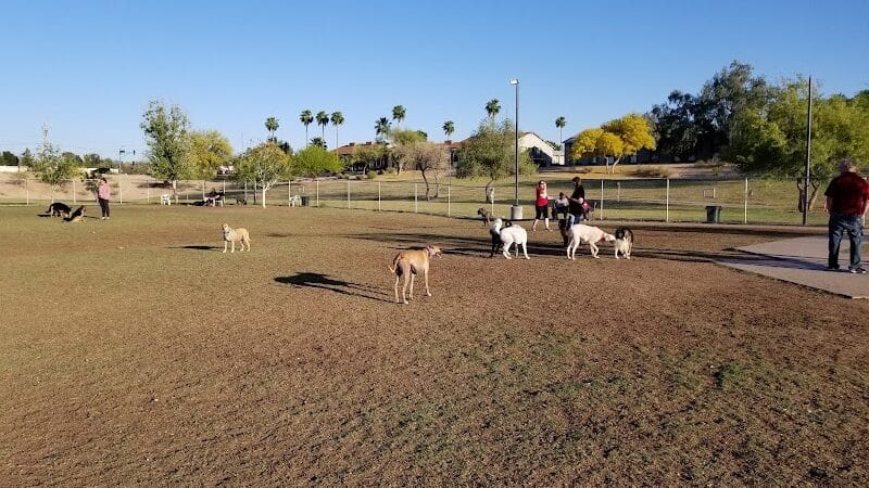 Grover Basin Dog Park - Phoenix, AZ