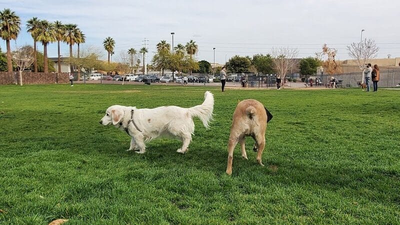 Hance Park Dog Park - Phoenix, AZ