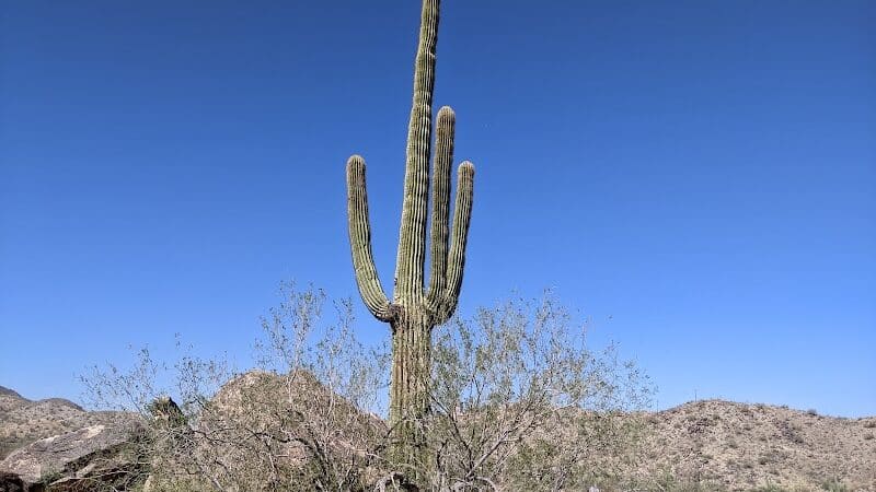 JUDITH TUNELL ACCESSIBLE TRAIL - Phoenix, AZ