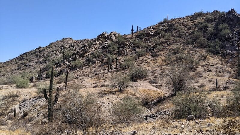 JUDITH TUNELL ACCESSIBLE TRAIL - Phoenix, AZ