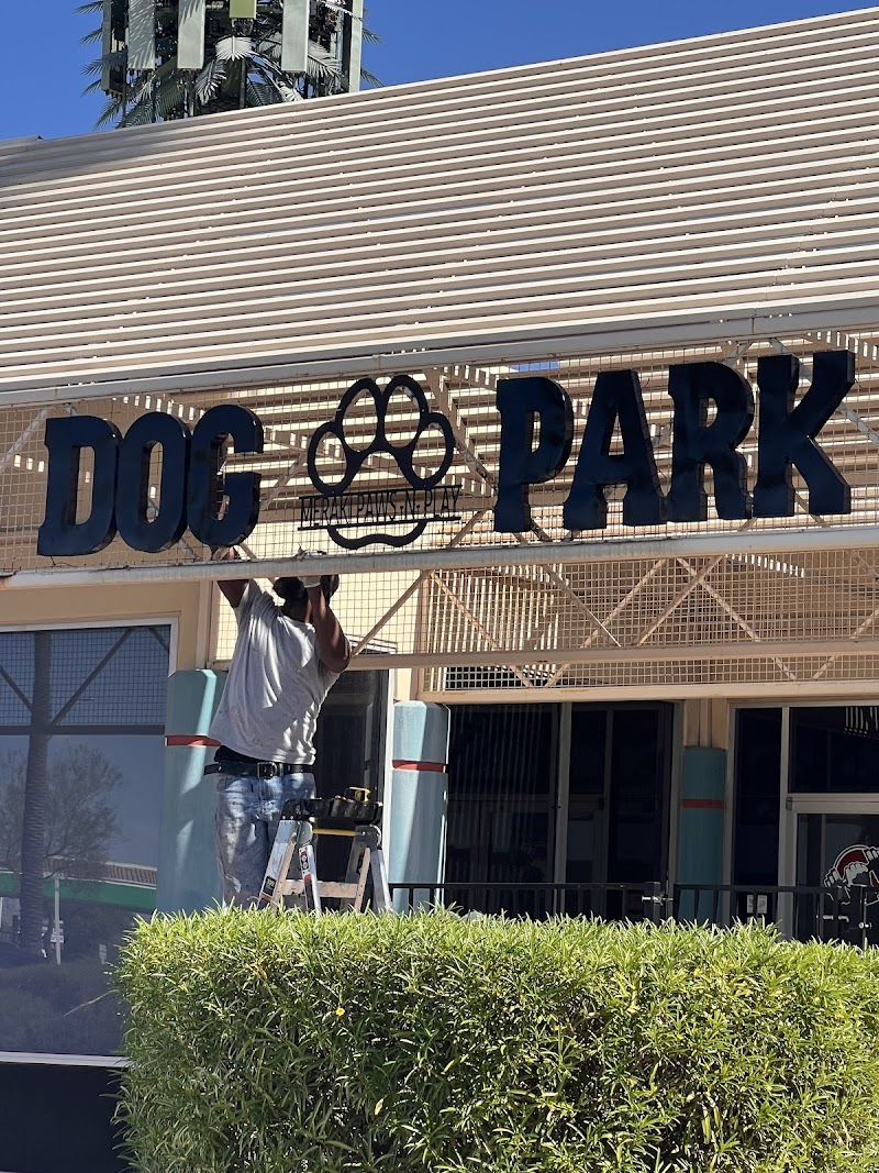 Meraki Paws N Play Indoor Dog Park and Social Club - Phoenix, AZ