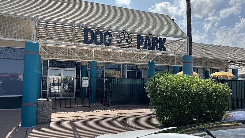 Meraki Paws N Play Indoor Dog Park and Social Club - Phoenix, AZ