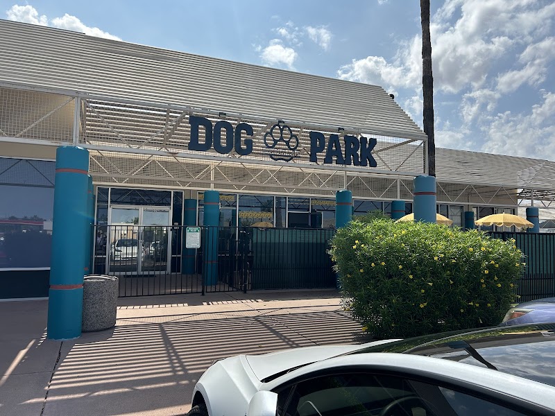 Meraki Paws N Play Indoor Dog Park and Social Club - Phoenix, AZ