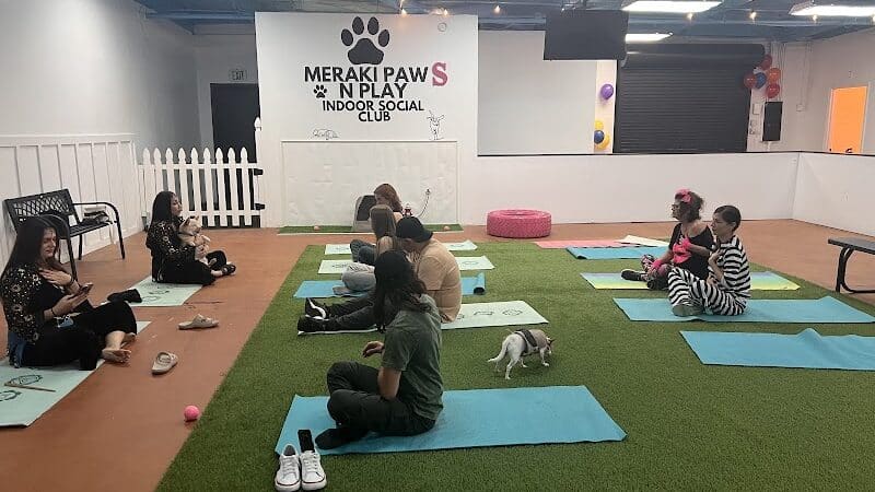 Meraki Paws N Play Indoor Dog Park and Social Club - Phoenix, AZ