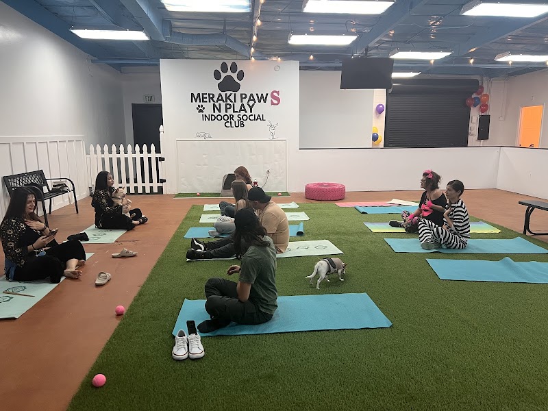 Meraki Paws N Play Indoor Dog Park and Social Club - Phoenix, AZ