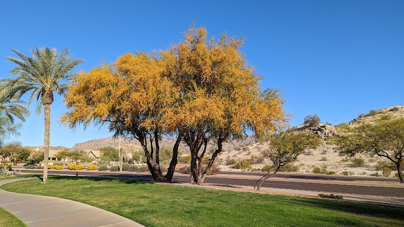 Mountain Park Ranch Hiking Trail - Phoenix, AZ