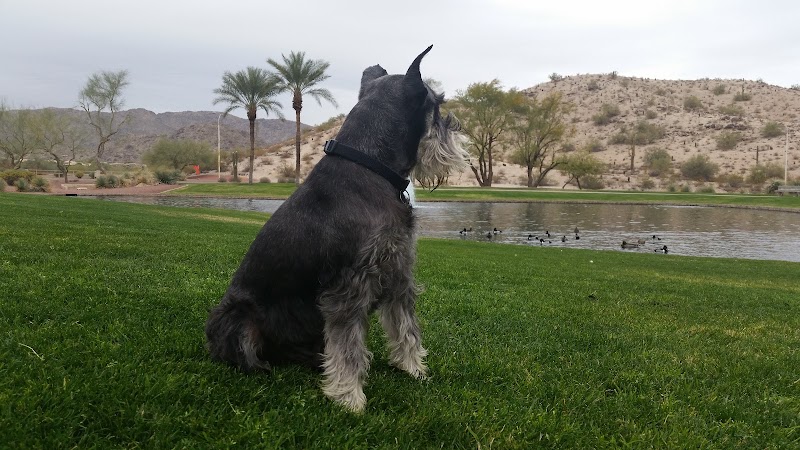 Mountain Park Ranch Hiking Trail - Phoenix, AZ