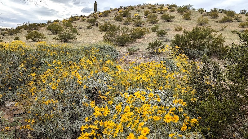 Mountain Park Ranch Hiking Trail - Phoenix, AZ