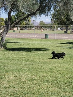 Paradise Valley Park