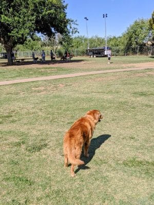 Paradise Valley Park
