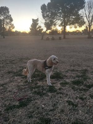 Paradise Valley Park
