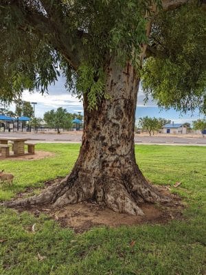 Paradise Valley Park