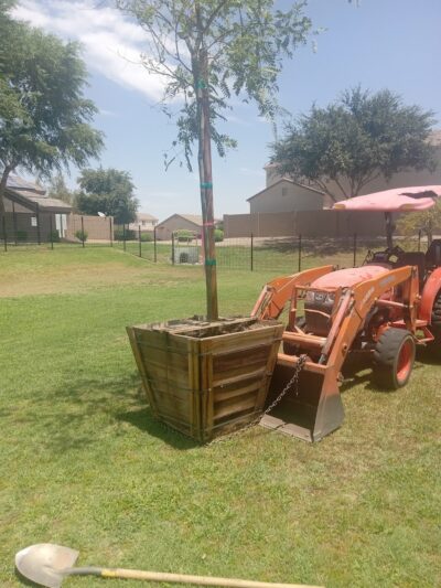 Park Meadows Playgrounds - Phoenix, AZ