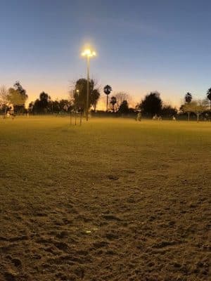 PetSmart Dog Park