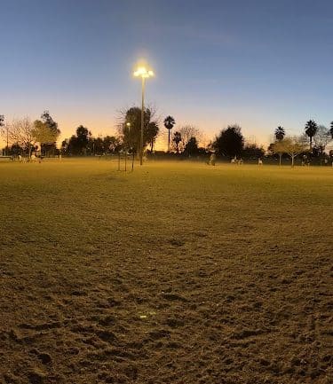 PetSmart Dog Park