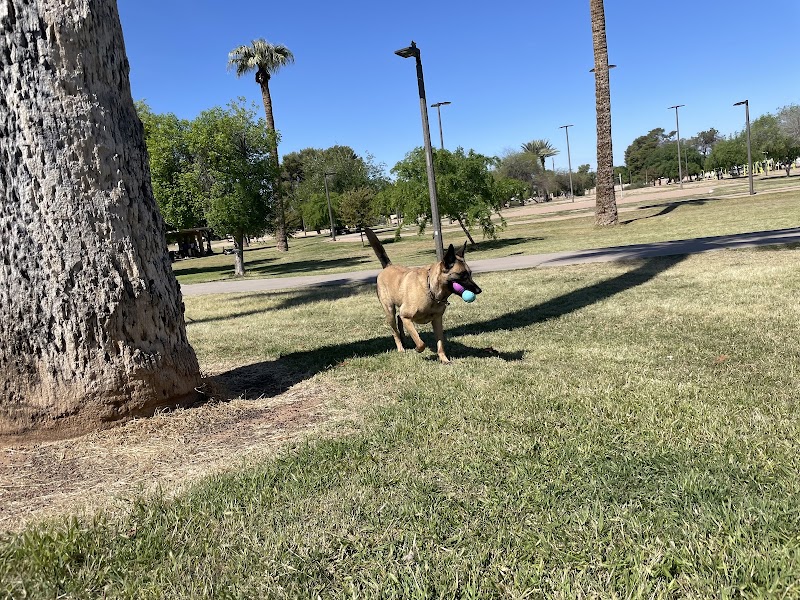 PetSmart Dog Park - Phoenix, AZ