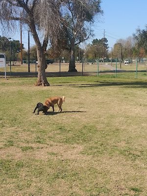 PetSmart Dog Park