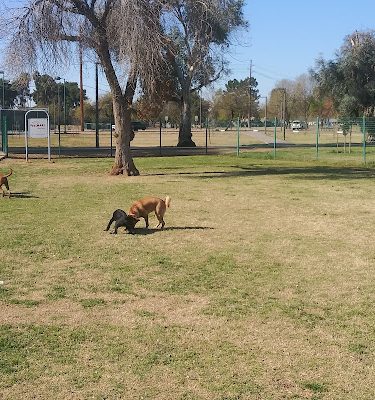 PetSmart Dog Park