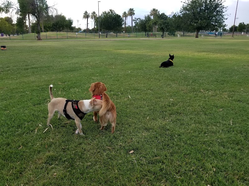 PetSmart Dog Park - Phoenix, AZ