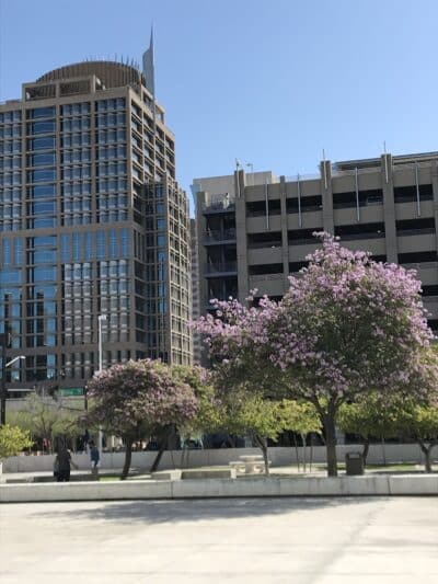 Phoenix - Phoenix, AZ