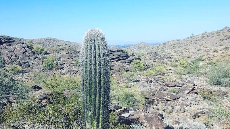 Pima Wash Trail - Phoenix, AZ