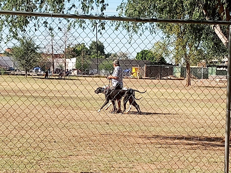 Rose Mofford Dog Park - Phoenix, AZ