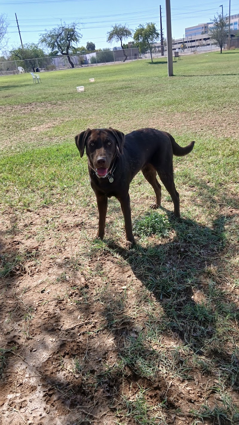 Rose Mofford Dog Park - Phoenix, AZ