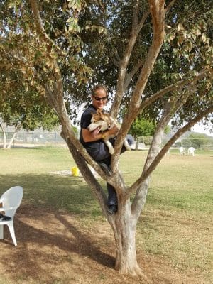 Rose Mofford Dog Park