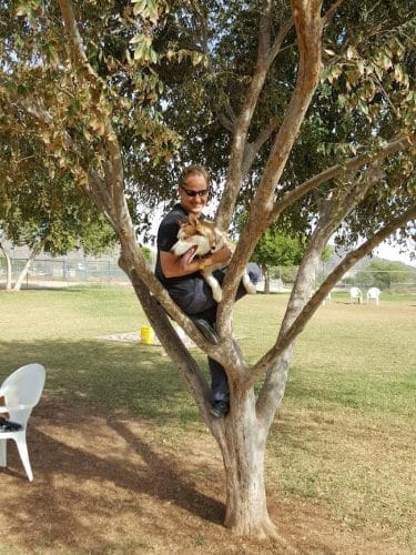 Rose Mofford Dog Park