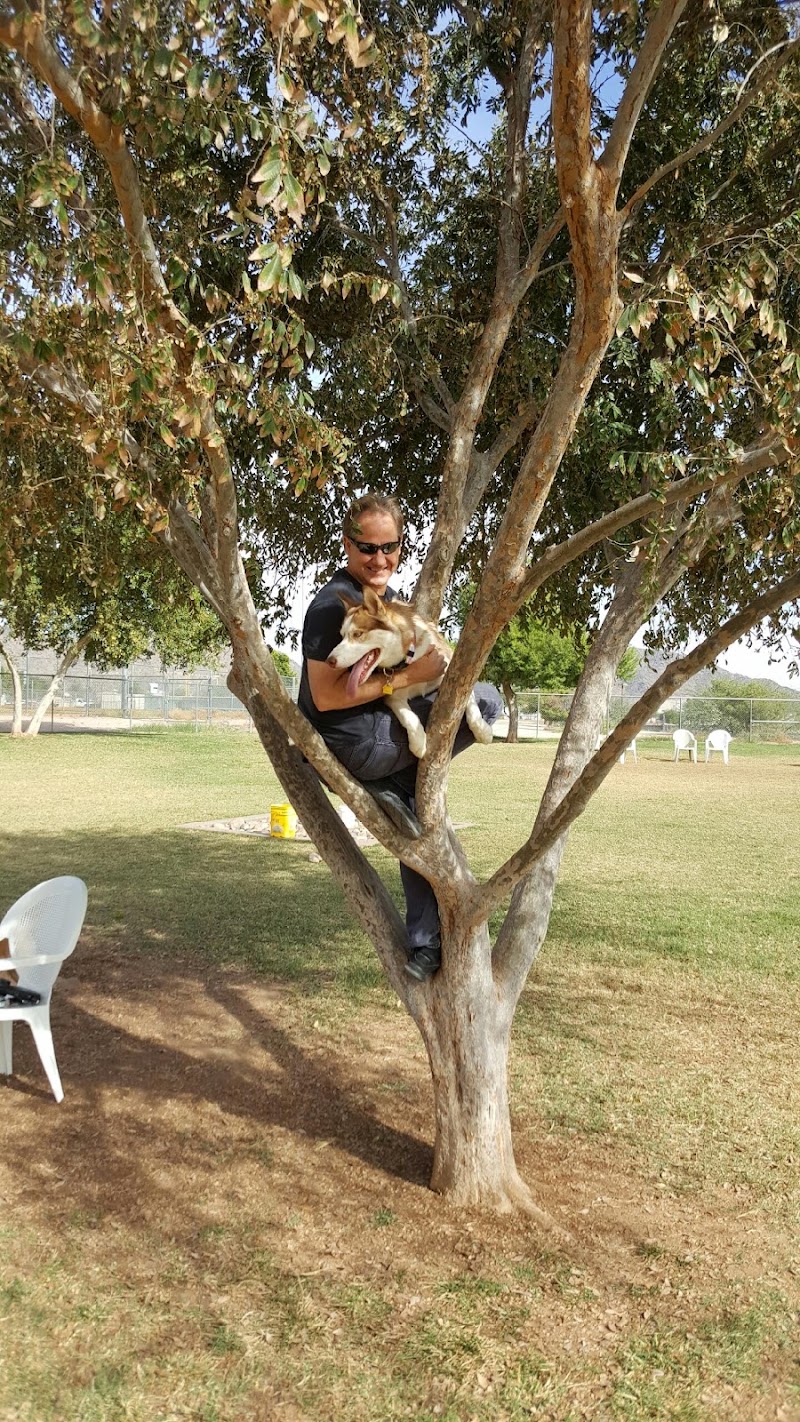 Rose Mofford Dog Park - Phoenix, AZ