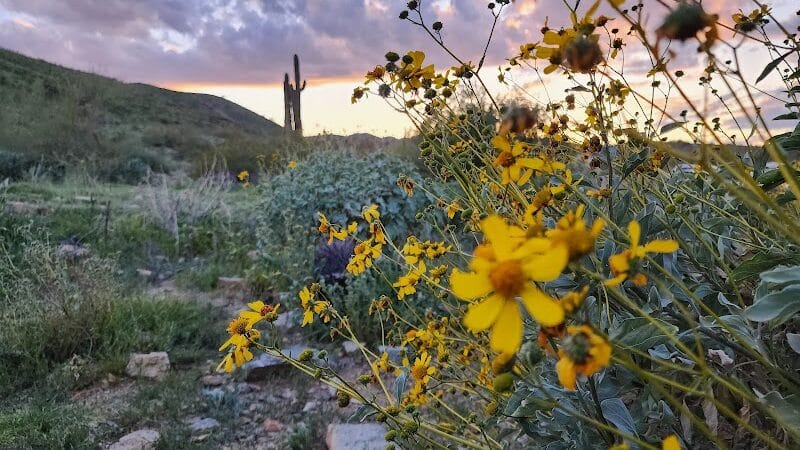South mountain Hiking @46th st - Phoenix, AZ