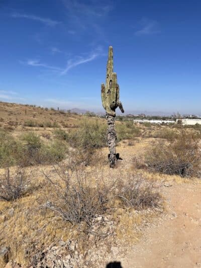 South mountain Hiking @46th st - Phoenix, AZ