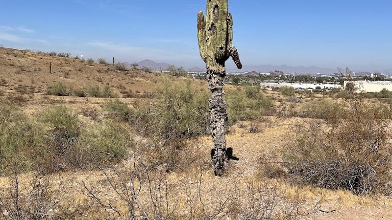 South mountain Hiking @46th st - Phoenix, AZ