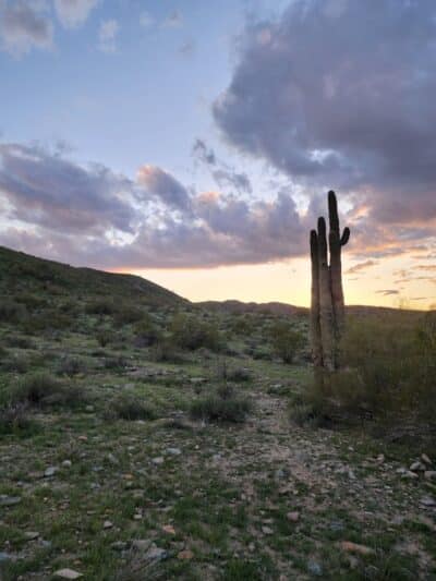 South mountain Hiking @46th st - Phoenix, AZ