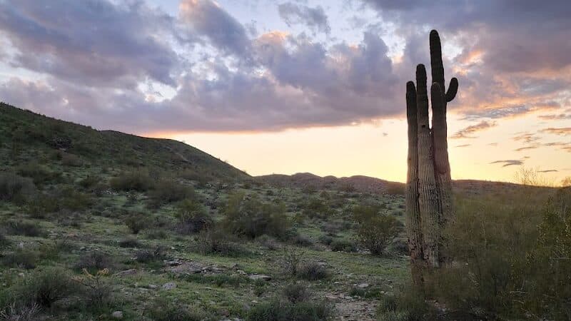 South mountain Hiking @46th st - Phoenix, AZ