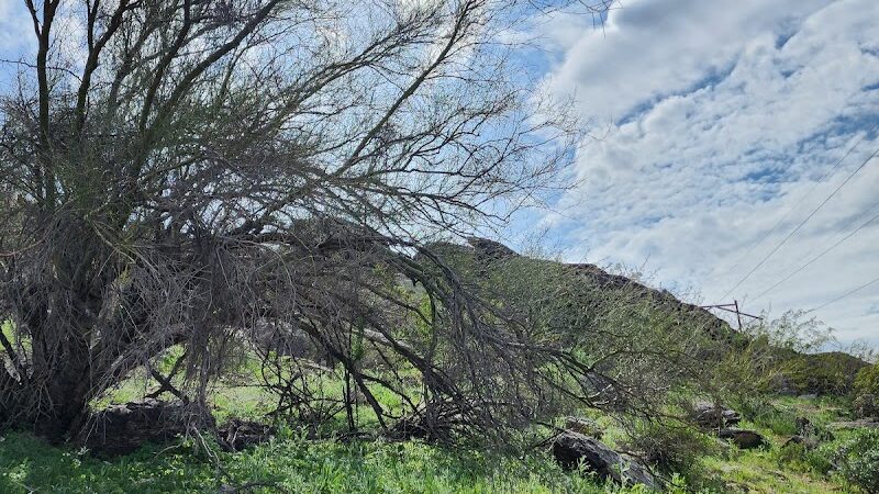 South mountain Hiking @46th st - Phoenix, AZ