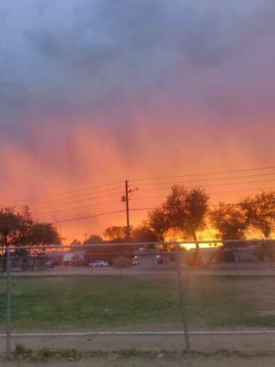 PetSmart Dog Park - Phoenix, AZ